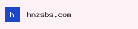 hnzsbs.com